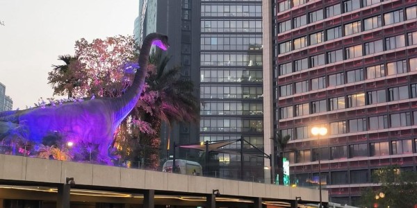 Xingkong-A股：明天周三股市开盘前，紧急提前给大家5点提醒！